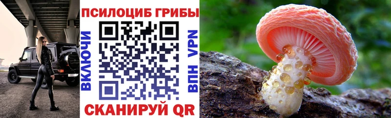 даркнет сайт  Ленинск  Галлюциногенные грибы ЛСД 